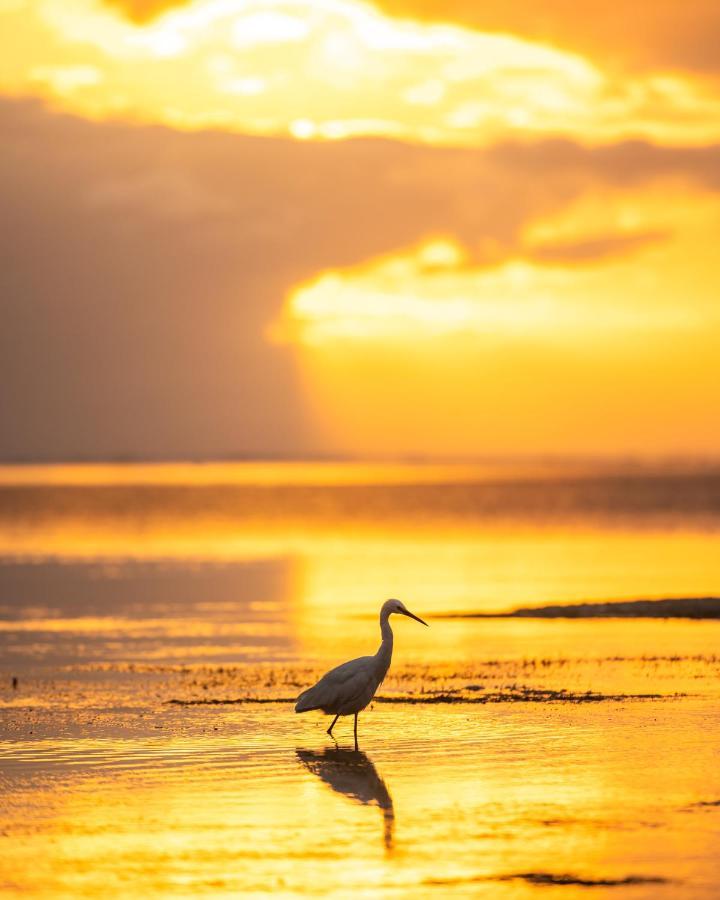 Hakuna Majiwe Beach Lodge Paje Kültér fotó